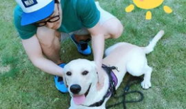 娱乐圈吃瓜小狗小说在线阅读,吃瓜小狗的甜蜜复仇之旅